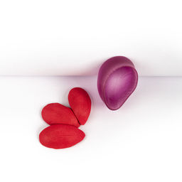 Blumentag Молд пластиковый FIOM-22 1 шт 01 Лепесток тюльпана  фото 7