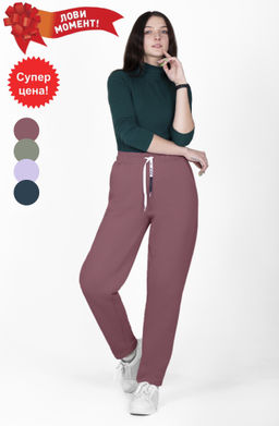 Брюки Тревел Б-47 (42-56) футер 3-х нитка начес