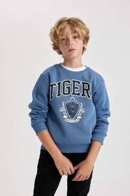 Толстый свитшот с круглым вырезом с принтом для мальчиков - Defacto фото 3