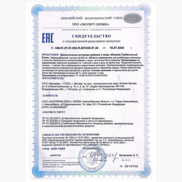 Ежовик гребенчатый