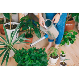 Лейка с длинным носиком, 5 л, с рассеивателем, оцинкованная, без рисунка, носик d=25 мм - Simaland фото 8