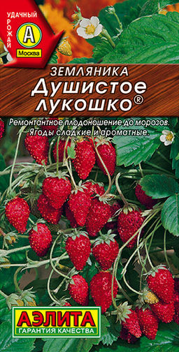 Земляника Душистое лукошко (2029