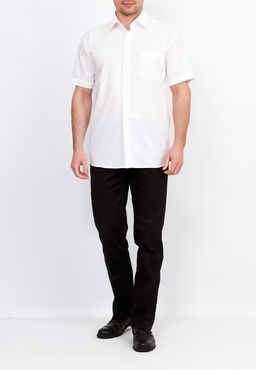 Сорочка мужская короткий рукав GREG Gb111/309/320/Z  фото 4