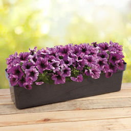 Ящик балконный для цветов «Эко», 12 л, 60×17×15.5 см, пластиковый, МИКС