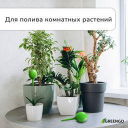 Цена за 2 шт. Автополив для комнатных растений, h=28 см, 380 мл, пластик, набор 2 шт., зелёный, Greengo  фото 2