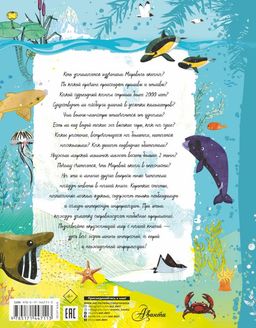 Анатомия океана - Аст фото 2