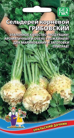 Сельдерей корневой ГРИБОВСКИЙ  Эталонное качество продукции! Ароматичный и очень урожайный! Для маринования и заготовки приправ!