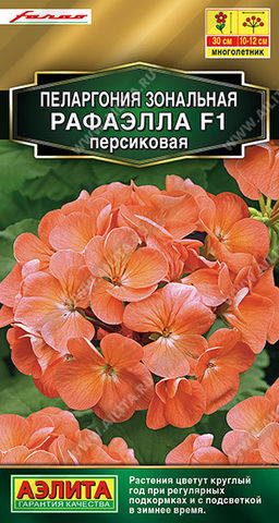 1662A Пеларгония Рафаэлла F1 персиковая 5шт