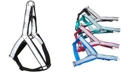 ВИА Шлейка светоотражающая синяя 30мм, 60-80см*65-90см(я031131син) 99ред99 я031131син я031131син