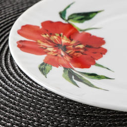 Тарелка обеденная Доляна Бархатная роза, d=25 см, стеклокерамика, цвет белый фото 2