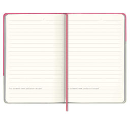 Записная книжка, А6, арт. 57603/ 20 ПВХ РОЗОВЫЙ + ПВХ СЕРЕБРЯНЫЙ - Феникс+ фото 2