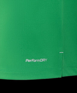 Футболка вратарская JOGEL NATIONAL PerFormDRY GK Jersey, зеленый  фото 4