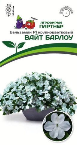 Бальзамин Уоллера крупноцветковый Вайт Барлоу
