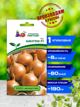 Лук репчатый Кантри - Партнер фото 2