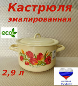 ЭМ_Кастрюля 2,9 л ДЕКОР в ассорт., арт. С16111/4КмЭ, С-1611/4Э, С16111/4Жм