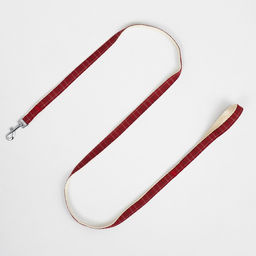 Комплект с мягкой шлейкой Клетки, размер S, поводок, 120 х 1,5 см, ОГ 28-62 см, красный - Пижон фото 9