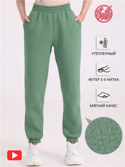 Брюки 1ЖББ4384338