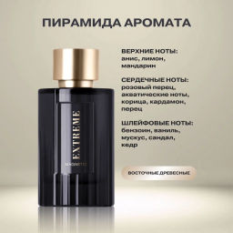 Dilis Парфюмерная вода для мужчин Extreme Magnetic Экстрим Магнетик 100 мл - Dilis parfum фото 2