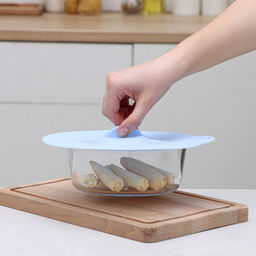 Крышка для хранения Доляна «Симпл», d=21 см, силикон, голубая