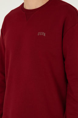Мужской бордово-красный базовый свитшот Неожиданная скидка в корзине - U.s. polo assn фото 7
