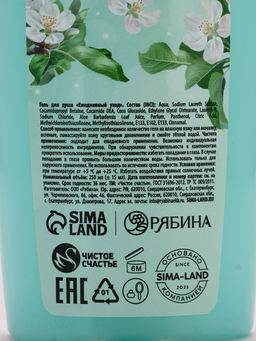 Подарочный набор «Самой потрясающей тебе», гель для душа 250 мл и мочалка для тела, аромат яблока, Чистое счастье