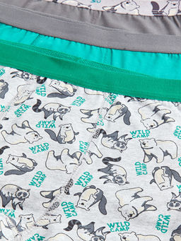 Bask?l? Pamuklu Erkek ?ocuk Boxer 3l? - Waikiki фото 3