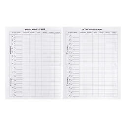 Цена за 2 шт. Дневник школьный для 1-11 классов, «Глобус и перо», твёрдая обложка 7БЦ, глянцевая ламинация, 40 листов