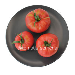 Генерал грант Ламберта