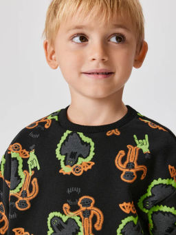 ACOOLA / Джемпер детский для мальчиков Polaris черный фото 3