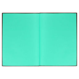 Ежедневник недатированный, А5, арт. 52441/ 15 ВИННЕР ЧЁРНЫЙ - Феникс+ фото 5