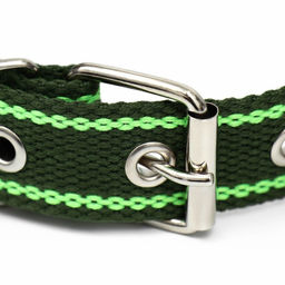 Ошейник брезентовый безразмерный однослойный, 58 х 2,5 см, хаки/салатовый - Пижон фото 3