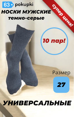 Цена за 10 пар. Легион носки мужские тёмно-серые 27