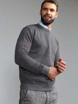 Джемпер мужской GREG G121-RH146-20 (серый)  фото 4