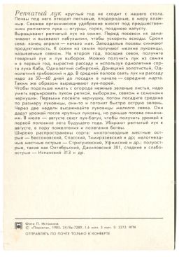 Открытка Лук