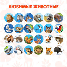 Проектор-фонарик Мир зверей, световые эффекты, 3 слайда, 24 картинки, МИКС - Zabiaka фото 3