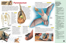 Интерактивная энциклопедия для школьников (нов.оф.*). Гиффорд К., Мейсон К., ОБрайен С.,... - Махаон фото 5