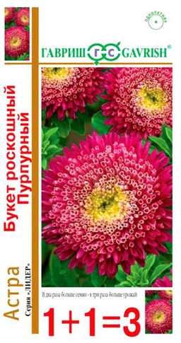 Букет роскошный пурпурный астра 0,5г (г)