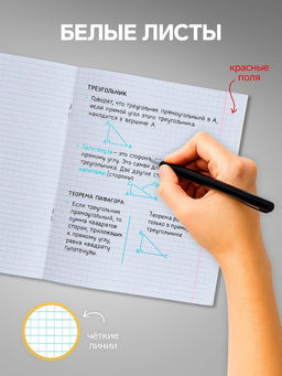 Набор тетрадей 24 листа в клетку Calligrata «Однотонная Классика с уголком», обложка мелованный картон, серые листы, 10 шт.