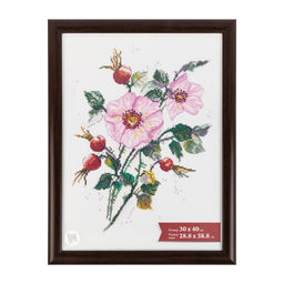 Рамка Gamma ПРК-22 30 х 40 см пластик. с оргстеклом венге