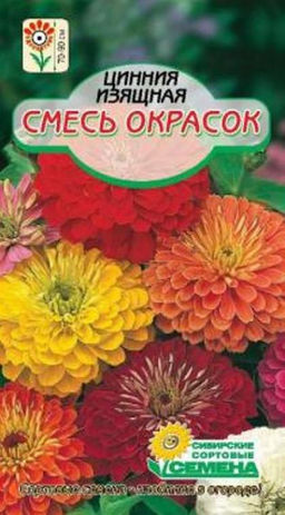 Изящная смесь окрасок цинния 70-90см 0,3гр. (ссс)