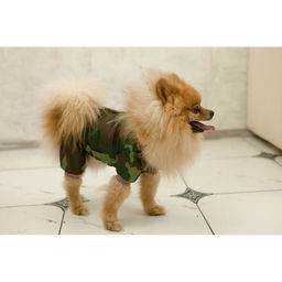 Комбинезон для животных, без подклада, XL (ДС 32-34, ОШ 32, ОГ 46-48 см), камуфляж - Пижон фото 10