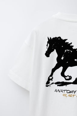 CAMISETA ESTAMPADA CABALLO FLOCK / Blanco - Zara фото 4