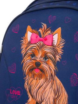 Рюкзак школьный SK2-31 - Steiner фото 9