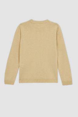 Школьный свитер с круглым вырезом для девочек - Defacto фото 8