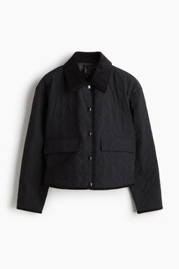 Chaqueta acolchada