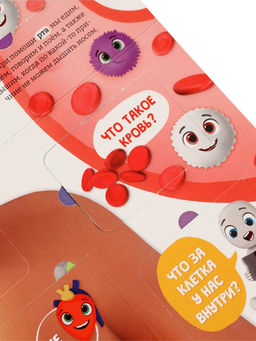 Книга с окошками «Как устроен человек?»