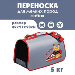 Сумка - переноска раскладная, каркасная Погнали! 45x27x20 см