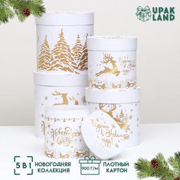 Набор подарочных шляпных коробок 5 в 1 «С Новым годом», 23×23- 15×15 см