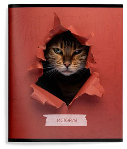 Тетрадь 48 л.История А5 клетка,ЛЮБОПЫТНЫЙ КОТИК Schoolformat Тетрадь 48 л.История А5 клетка,ЛЮБОПЫТНЫЙ КОТИК Schoolformat