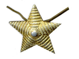 Значок эмблема петличная Звезда